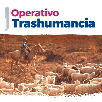 Banner Operativo Trashumancia