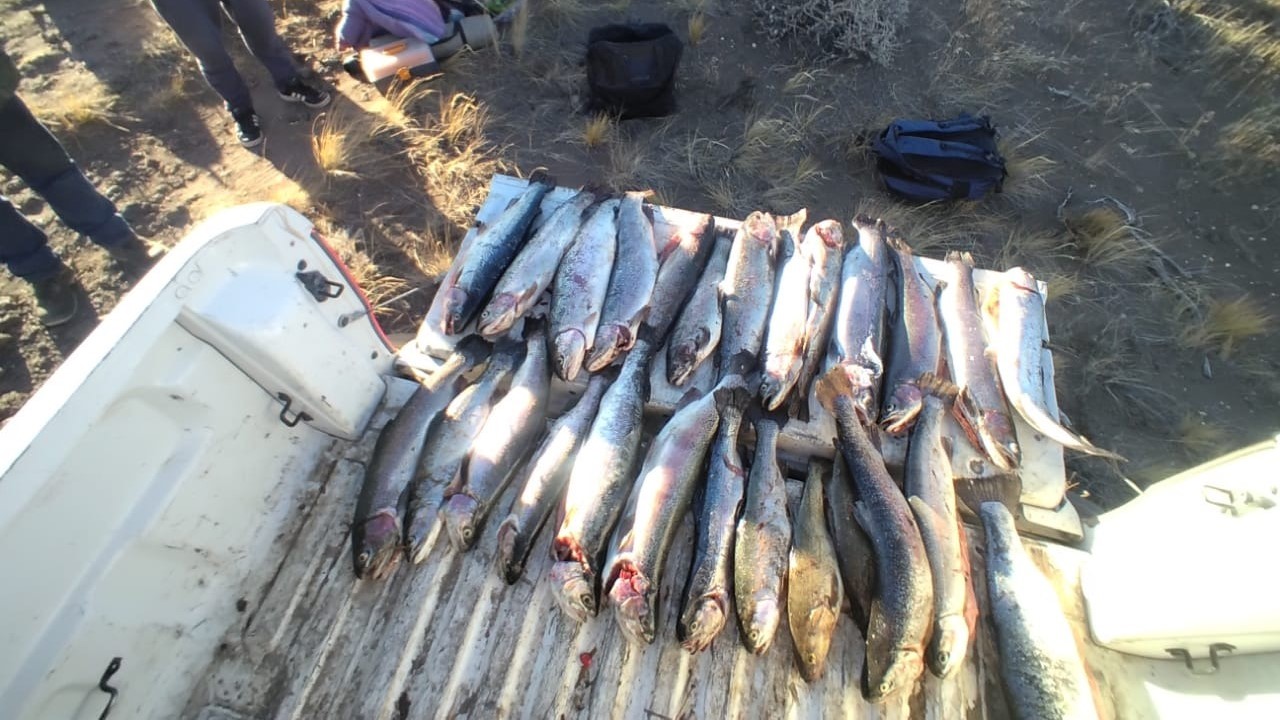 Guardafaunas detectaron actividad ilícita de pescadores en Piedra del Águila thumbnail